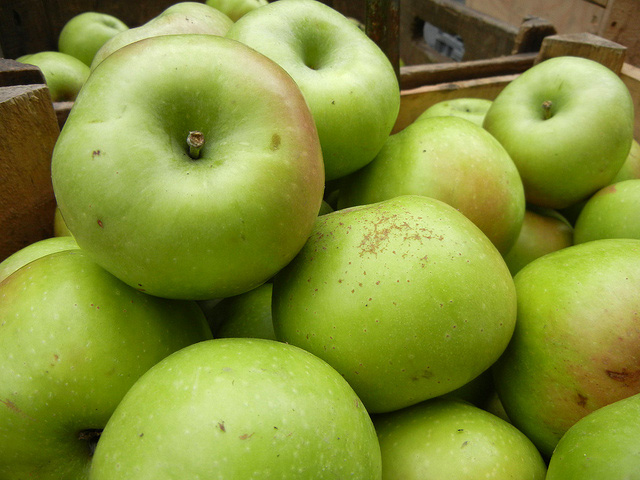 Rhode Island greening apple State Fruit | State Symbols USA