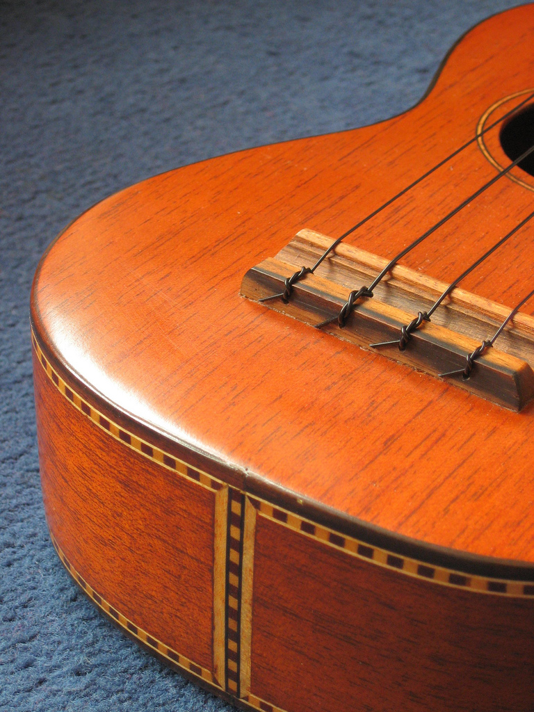 Hawaii State Modern Musical Instrument Ukulele