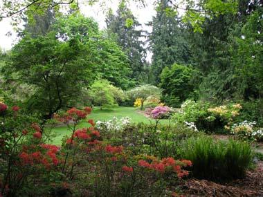 Washington Park Arboretum Washington Park Arboretum