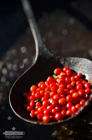 Chiltepin peppers on cowboy ladle Chiltepin peppers on cowboy ladle