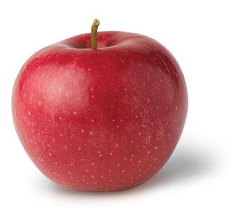 Red rome apple Red rome apple